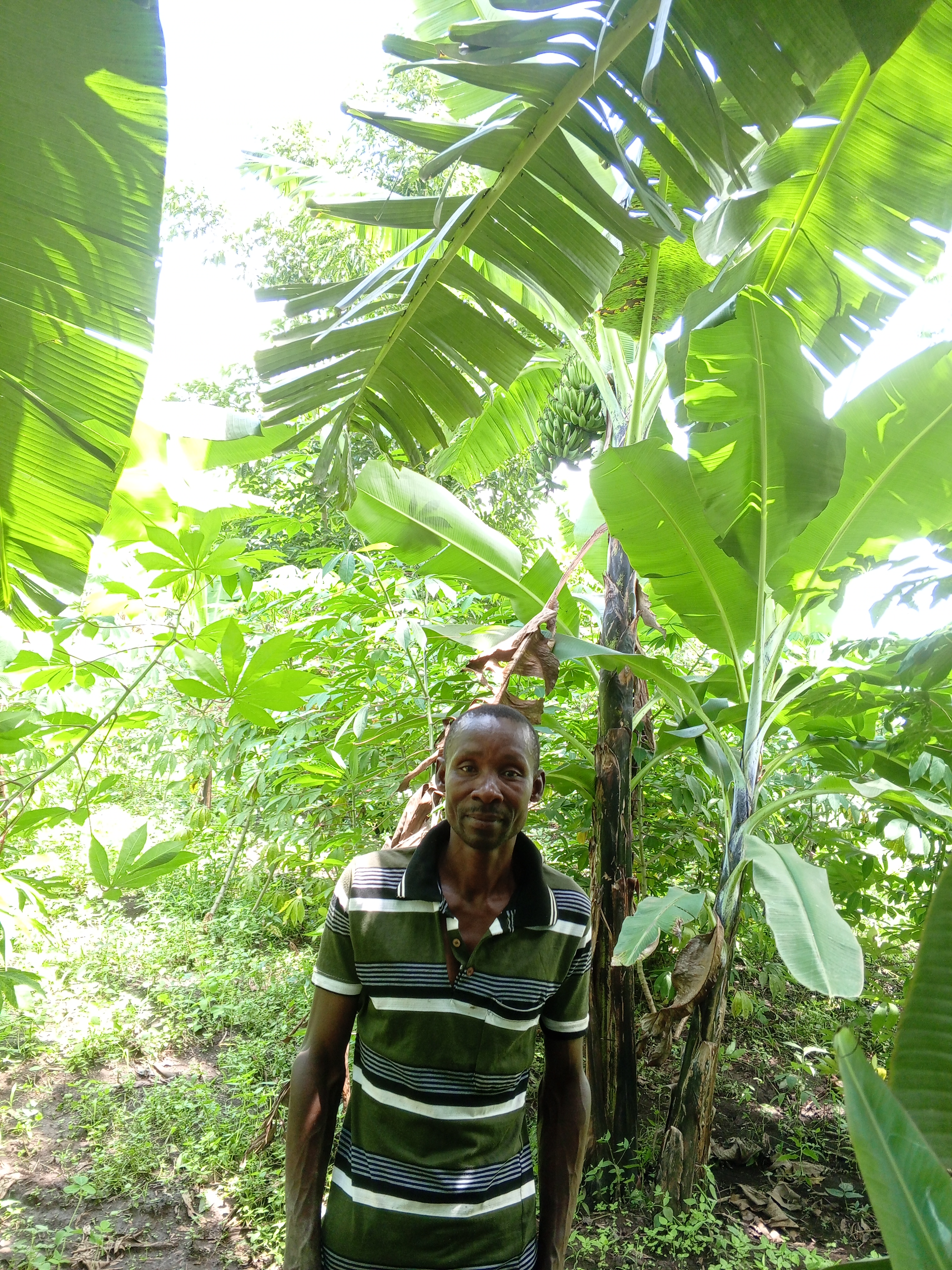 Musungu Stephen mukhwana